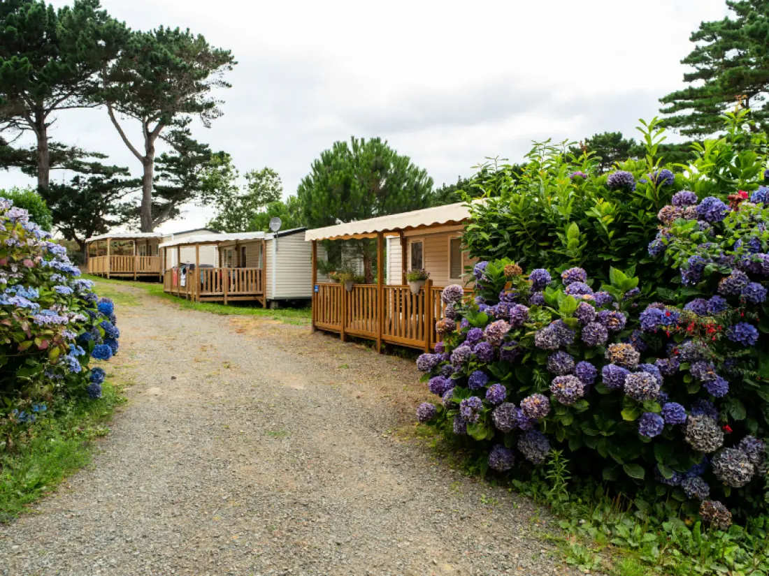 Fiore Camping Port de la Chaîne