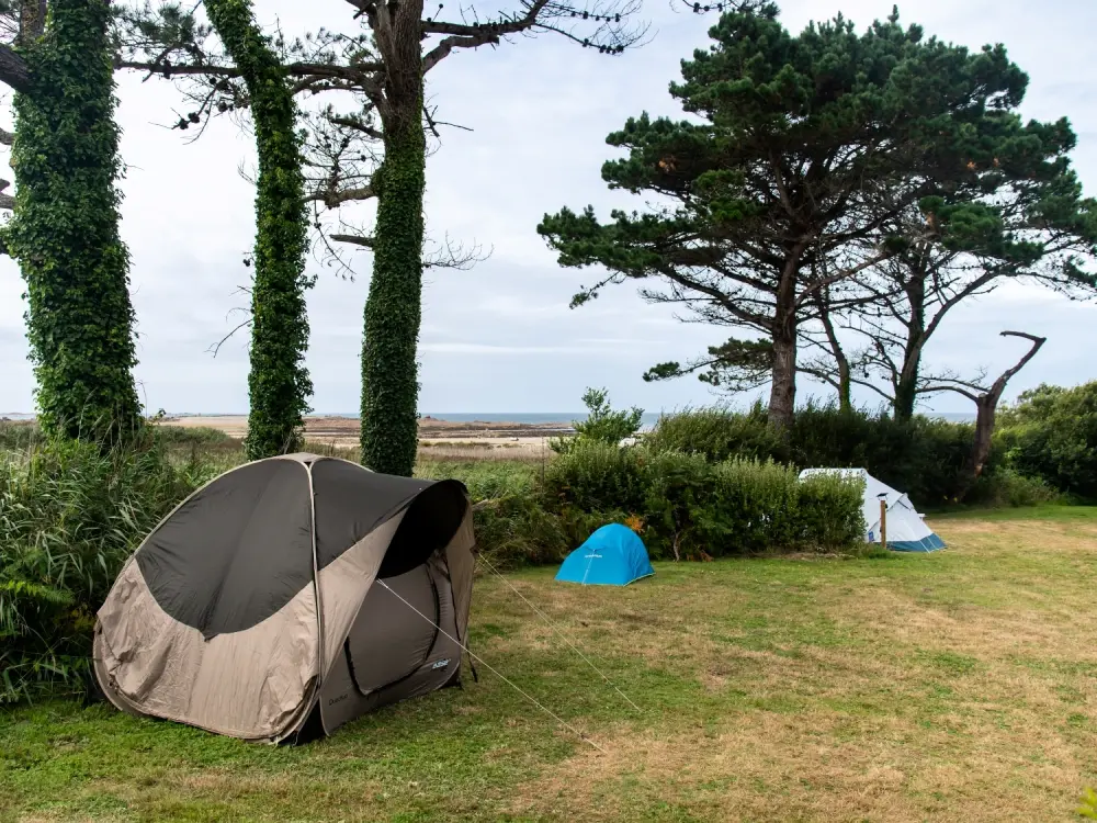 Fiore Camping Port de la Chaîne