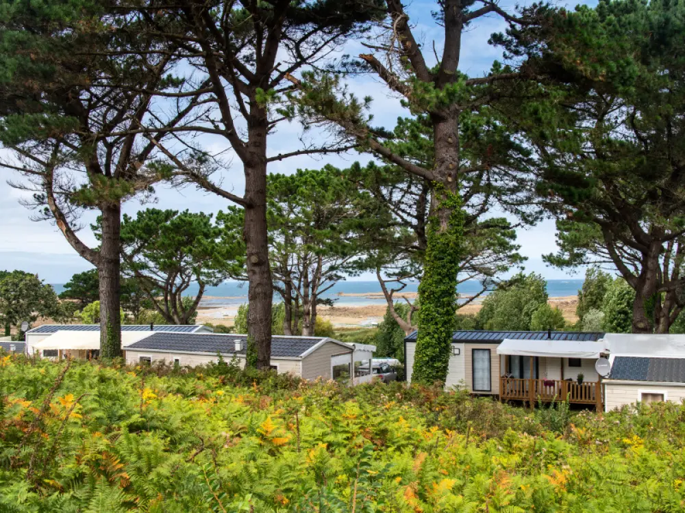 Fiore Camping Port de la Chaîne