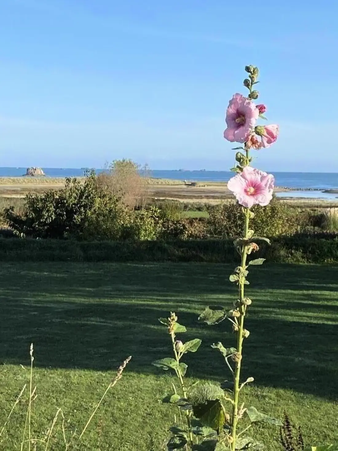 Gîte de France La fringante 4 oren