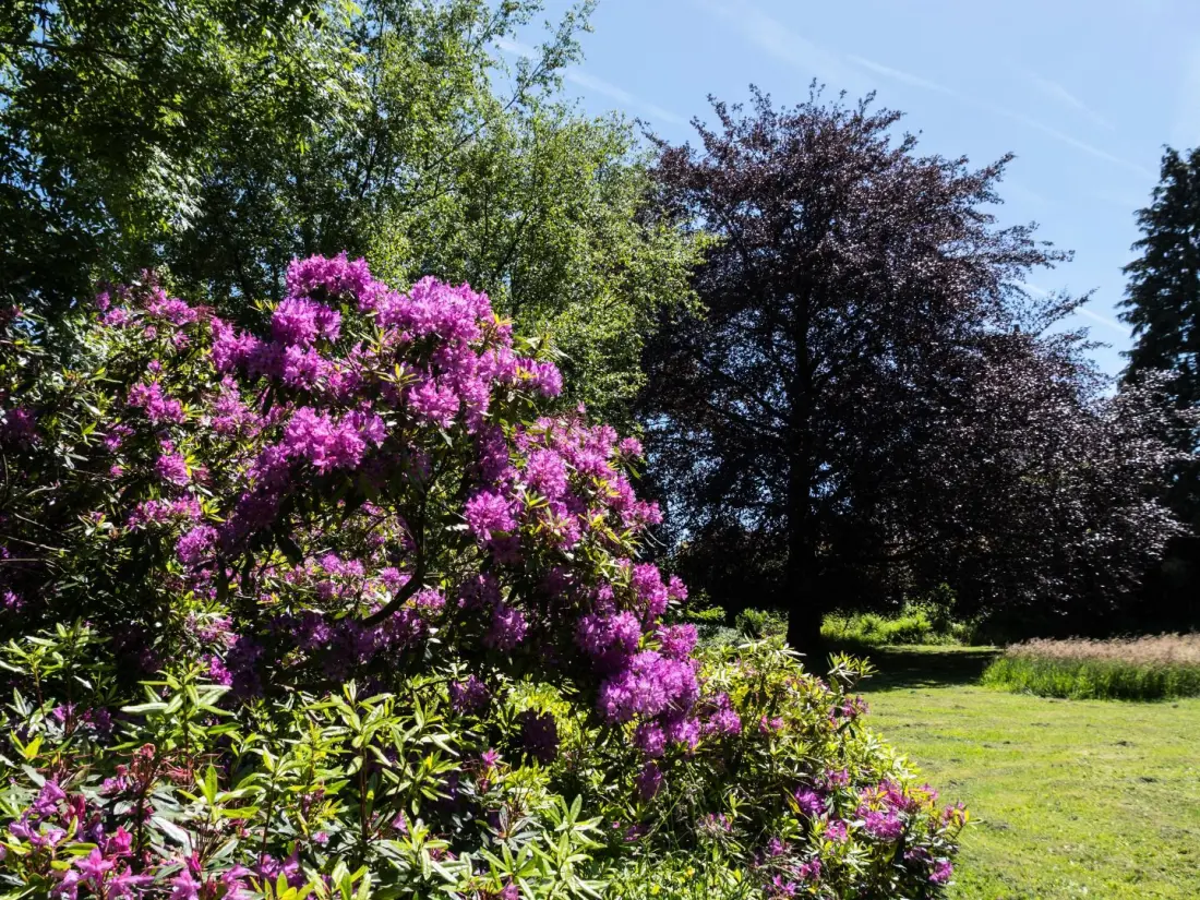Gîte de France Dervenn 2 Ohren
