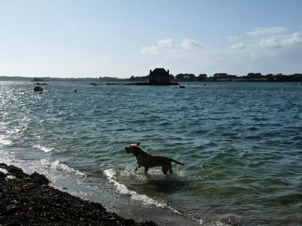 Campingplatz Le Saint Laurent 3 Sterne★★★