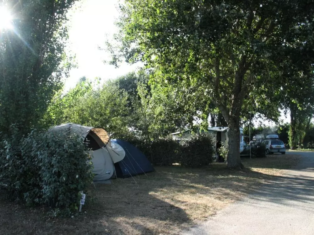 Flower Camping La Pointe du Talud 4 Sterren★★★★