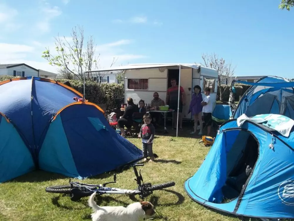 Flower Camping La Pointe du Talud 4 Sterren★★★★