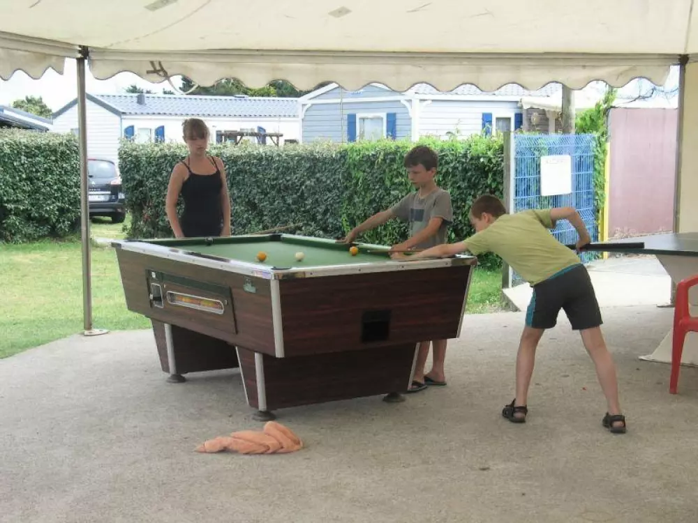 Flower Camping La Pointe du Talud 4 Sterren★★★★