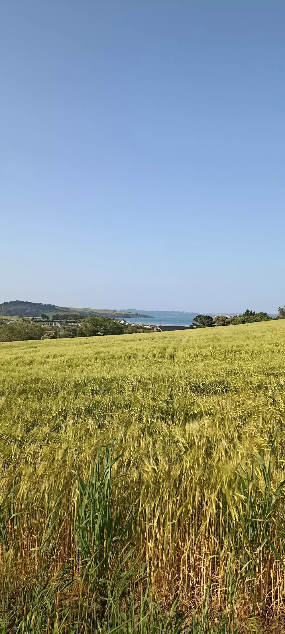 Camping ved HAVET 2 Stjerner★★