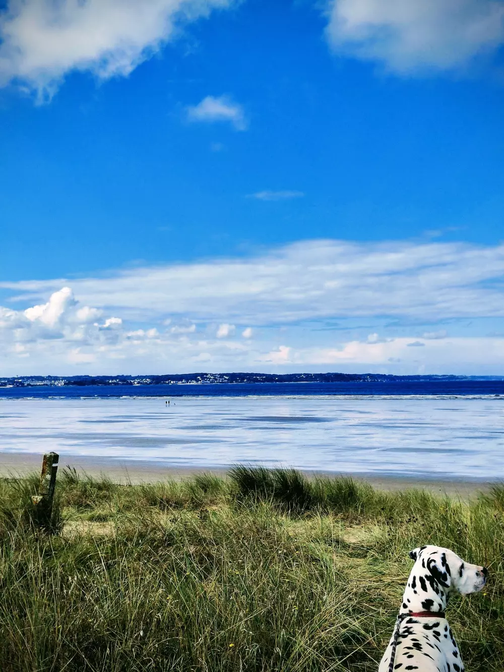 Camping ved HAVET 2 Stjerner★★