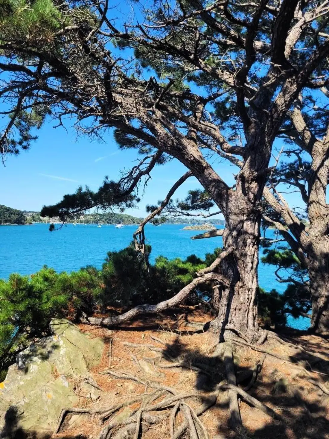 Gîte de France Les pommettes 4 oren