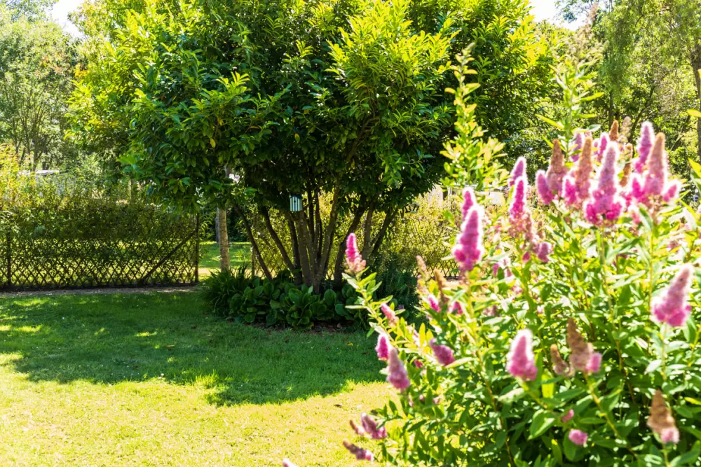 Campeggio La Baie de Terenez #