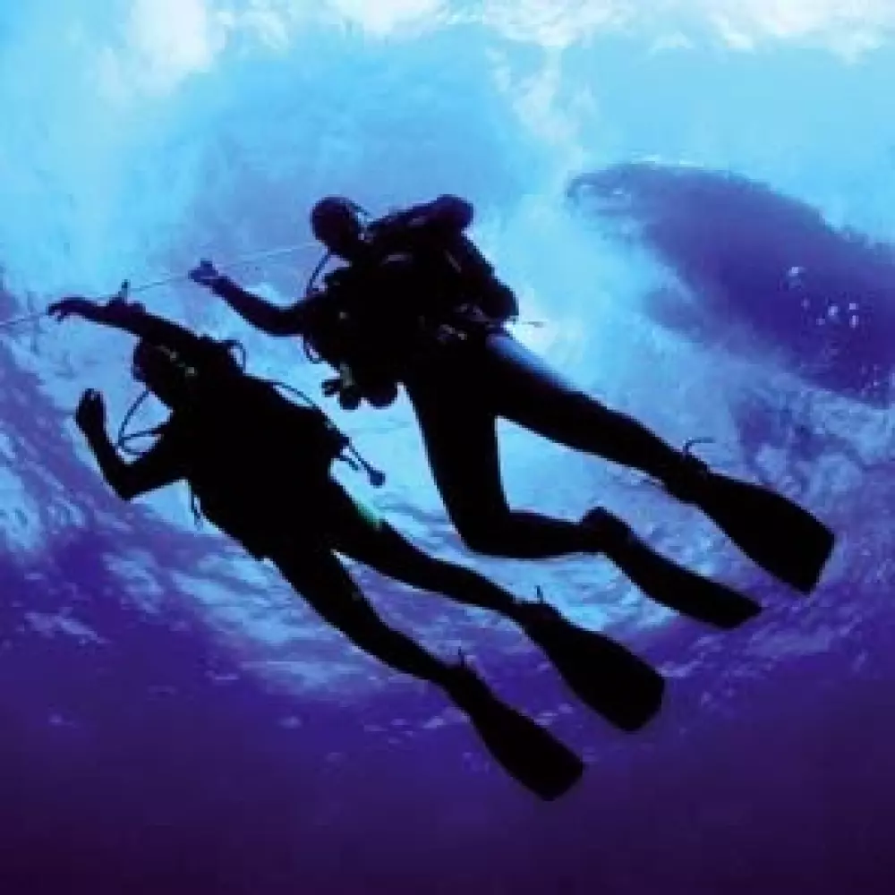 Campeggio La Baie de Terenez #