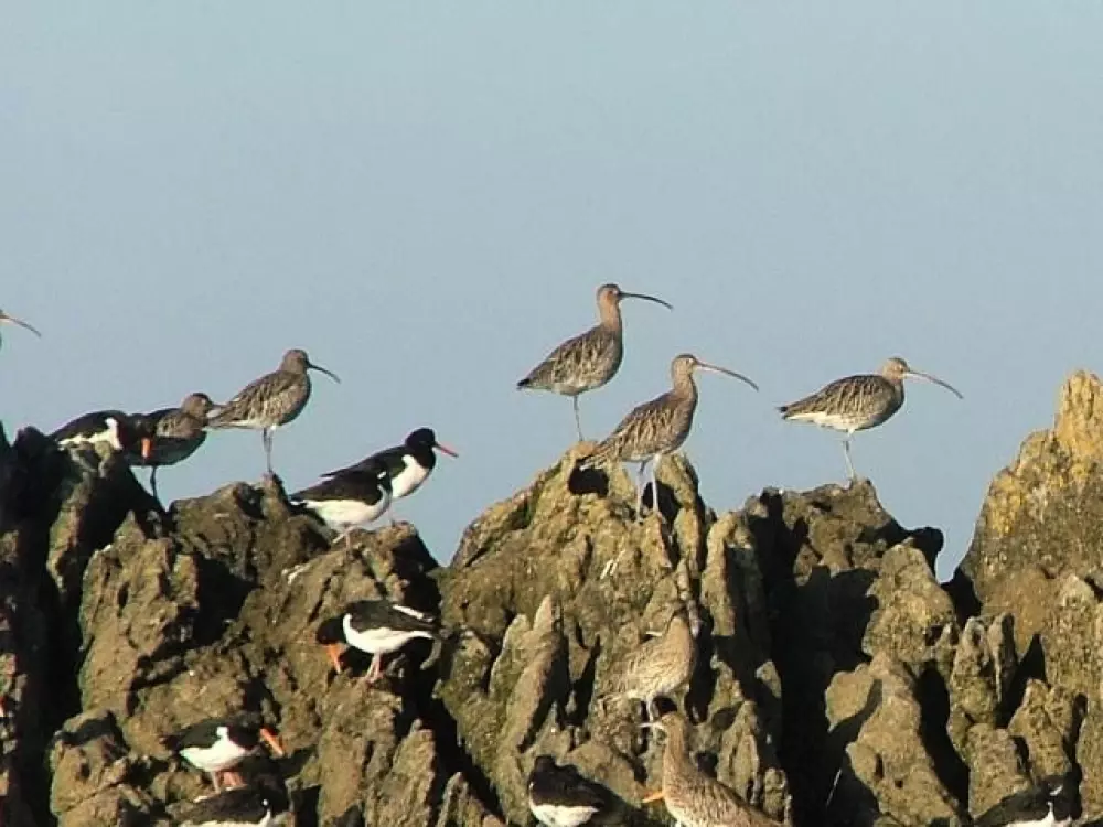 Campeggio La Baie de Terenez #