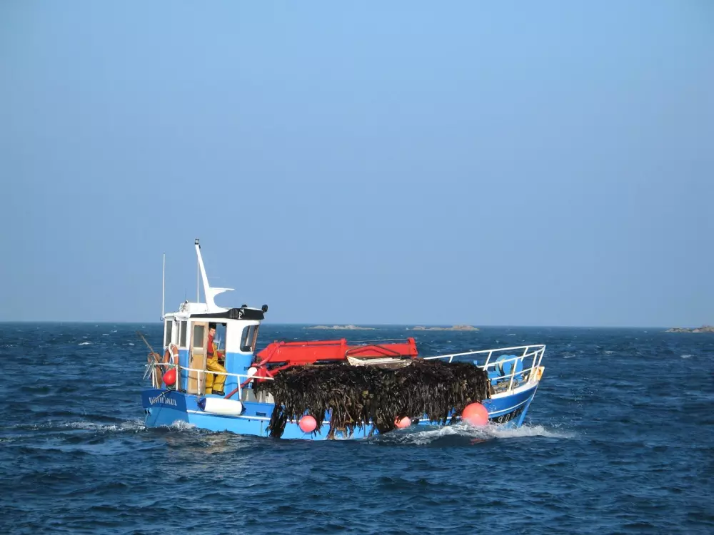 Campeggio La Baie de Terenez #