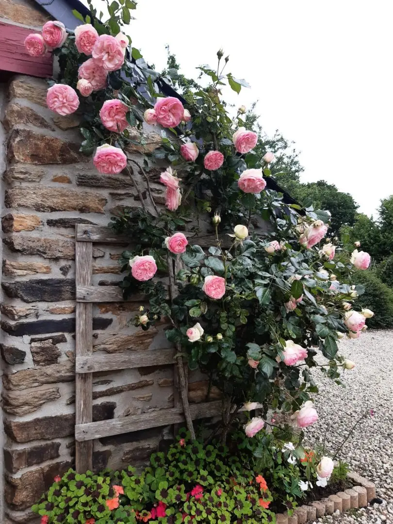 Gîte de France Der schöne Aufenthalt 3 Ohren
