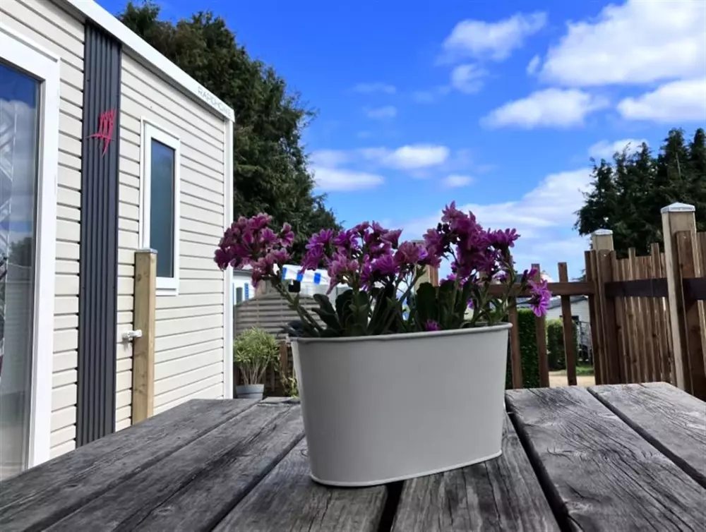 Campingplads maeva Getaways Le Varquez sur Mer 3 Stjerner★★★