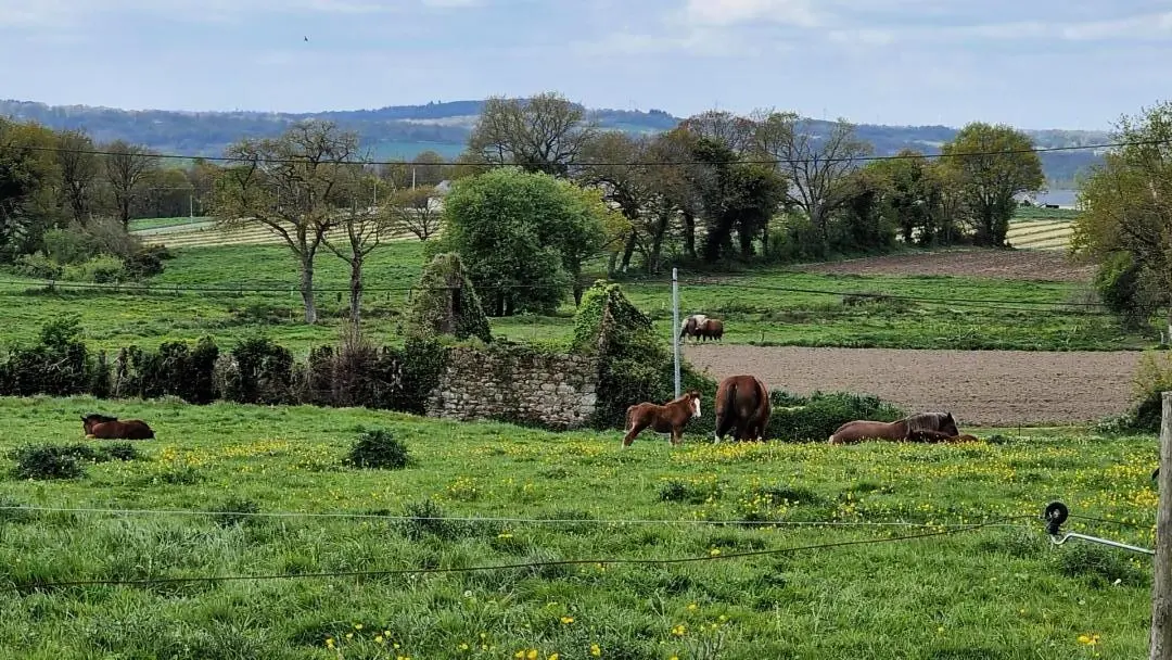 Gîte de France Die Kante des Holzes 3 Ohren