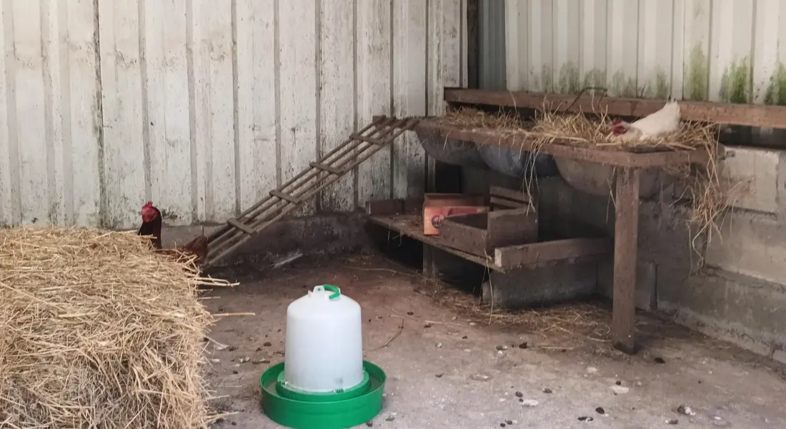 Gîte de France Ty Jahr 2 Ohren