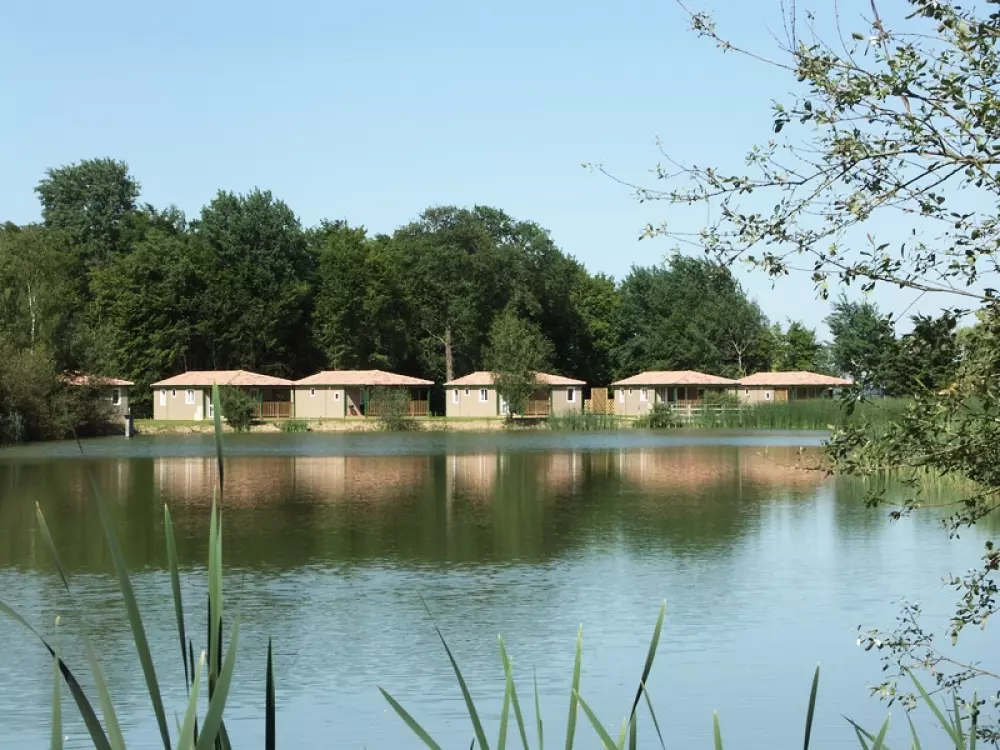 Camping Les Bois du Bardelet5 étoiles★★★★★