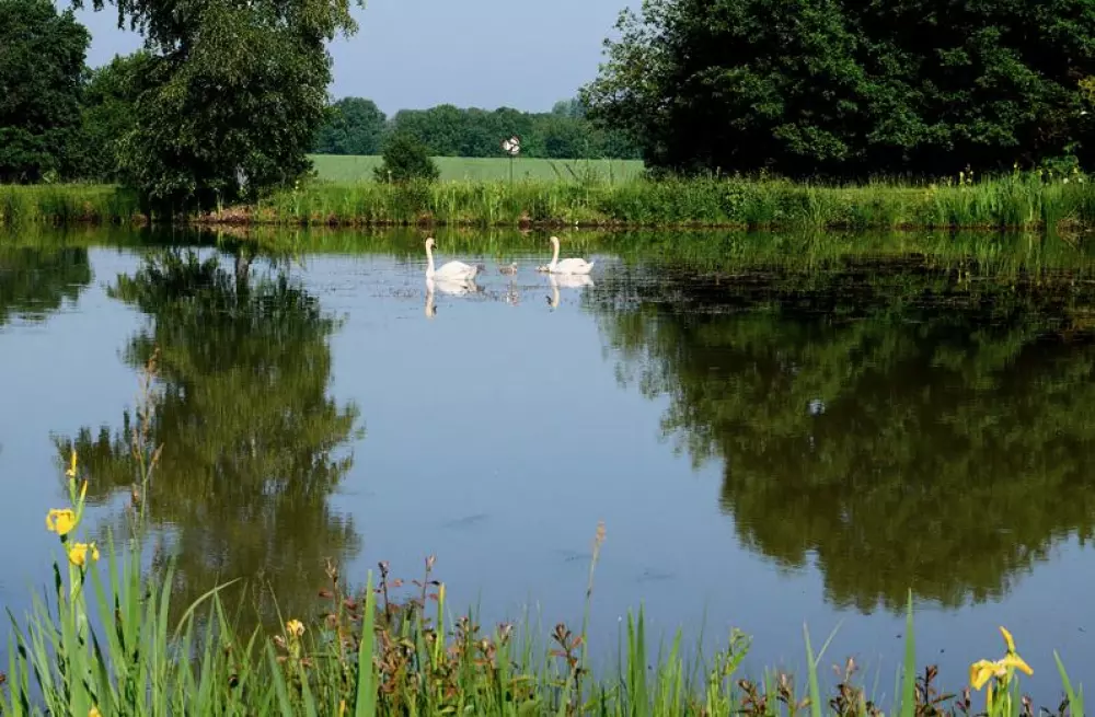 Camping Les Bois du Bardelet5 étoiles★★★★★