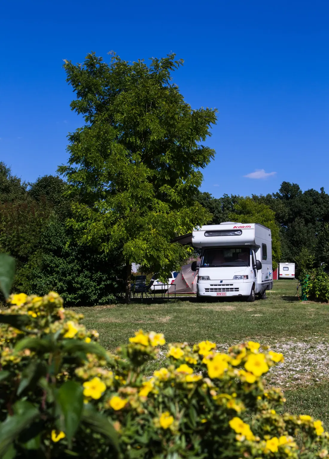 Castel Camping Les Bois du Bardelet 5 étoiles★★★★★