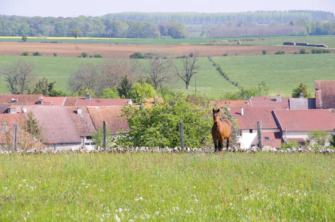 Gîte de France Da oben 2 Ohren