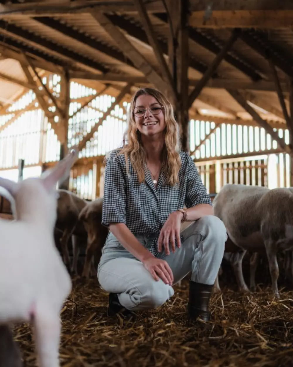 Ty Pois - Parcel Tiny House