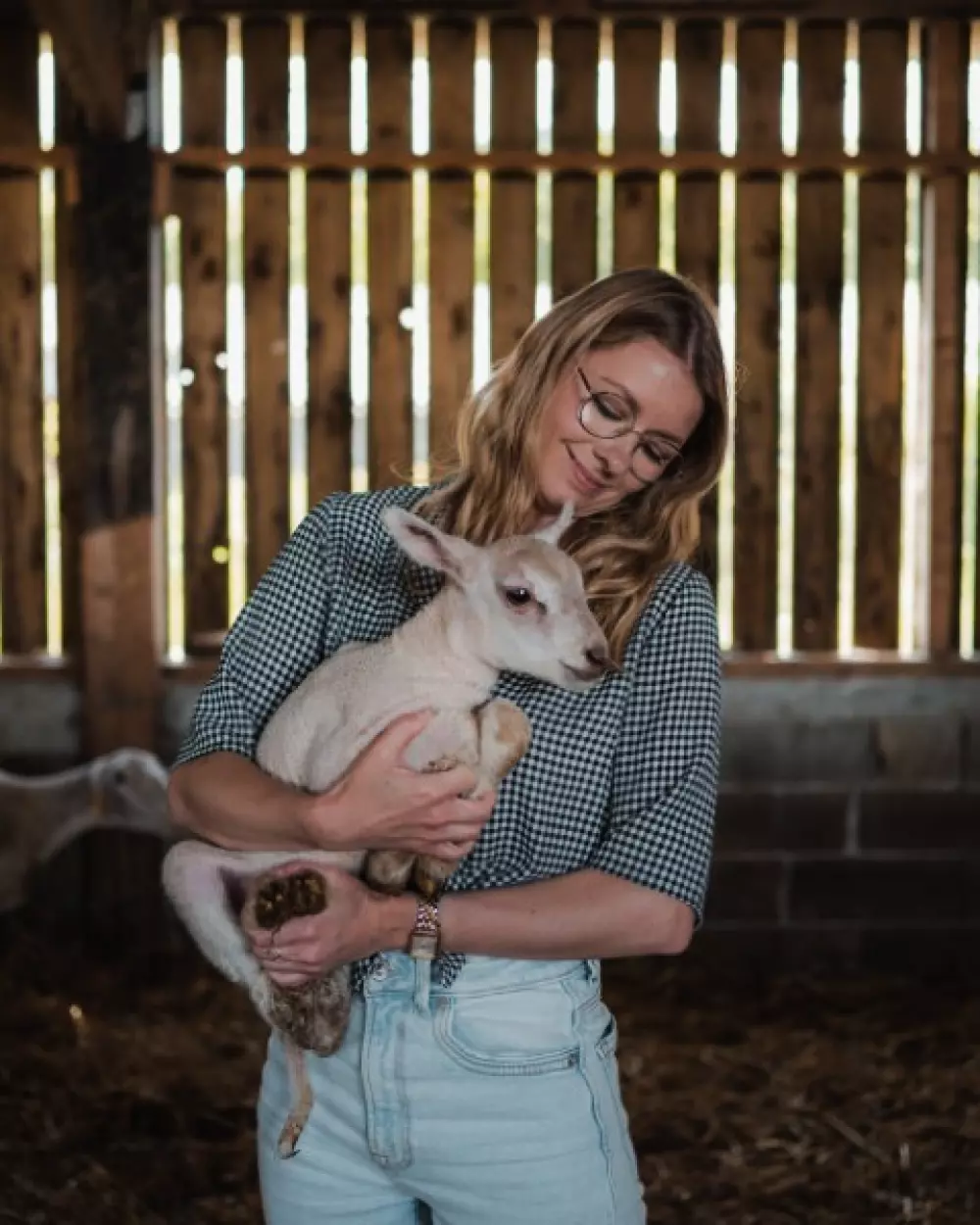 Ty Pois - Parcel Tiny House