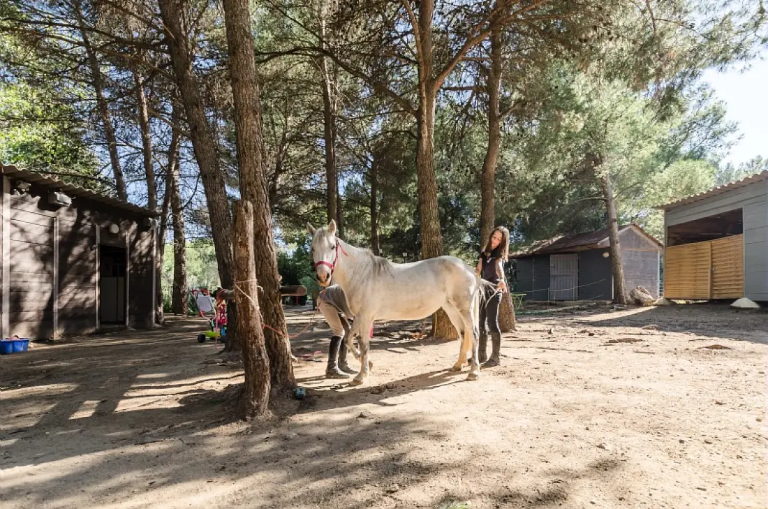 Village Pont Royal en Provence - maeva Home