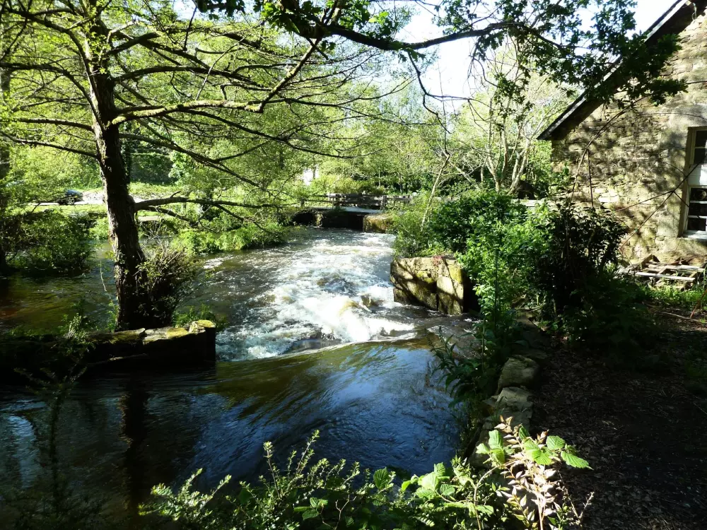 Camping Entre Terre et Mer 3 Estrellas★★★