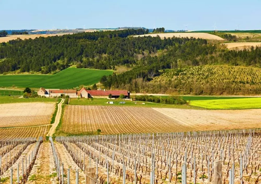 Camping l'Ile d'Amour 2 Stelle★★