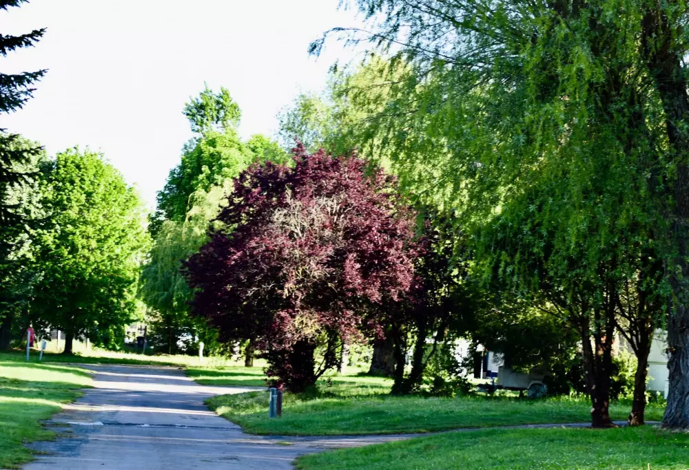 Camping l'Ile d'Amour 2 Stelle★★