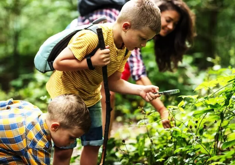 Camping l'Ile d'Amour 2 Stelle★★