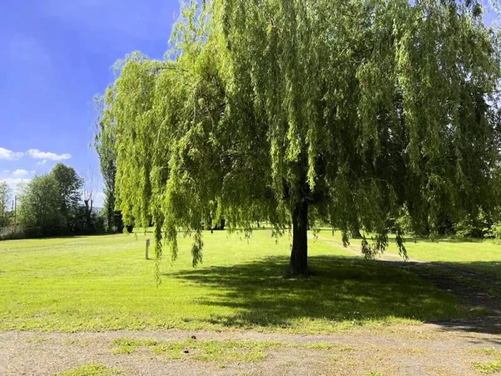 Camping l'Ile d'Amour 2 Stelle★★