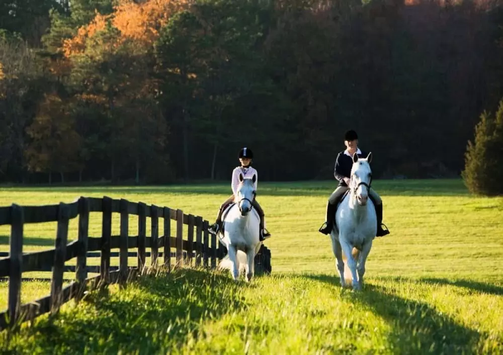 Camping l'Ile d'Amour 2 Stelle★★