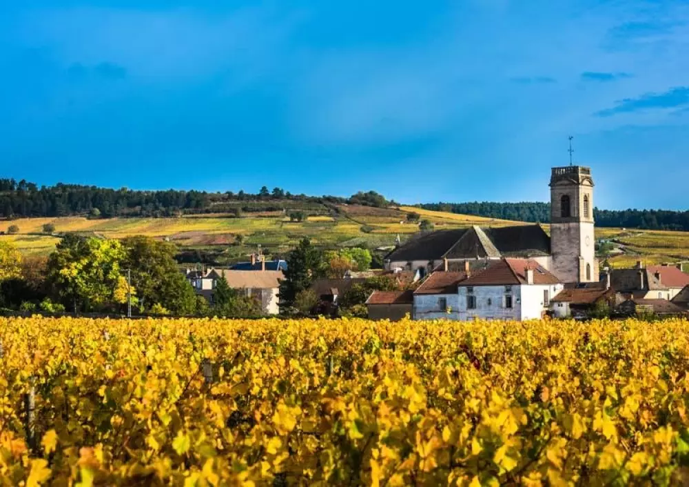 Camping l'Ile d'Amour 2 Stelle★★