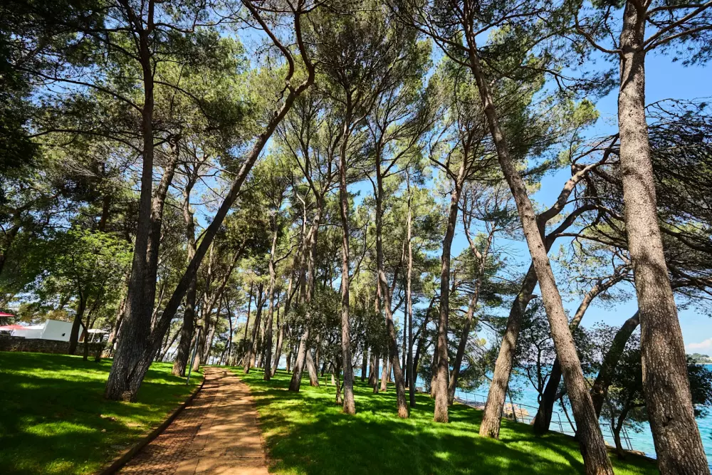 Apartman Galijot Plava Laguna Útvonalterv