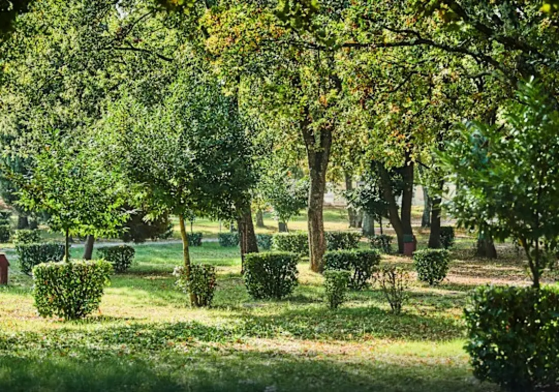 Camping Bijela Uvala4 Stjerner★★★★