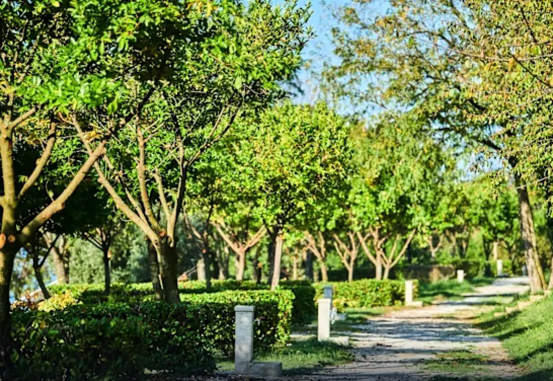Camping Bijela Uvala4 Stjerner★★★★