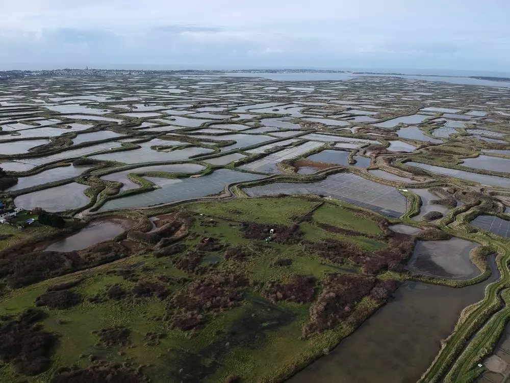 Camping Les Forges 3 Sterren★★★