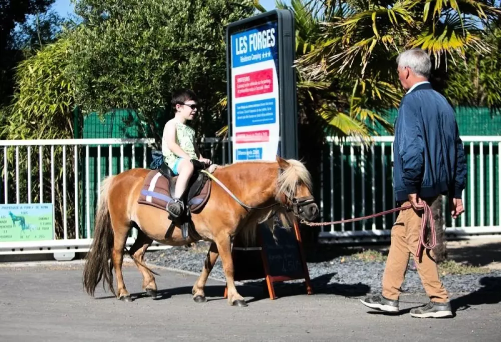 Camping Les Forges 3 Sterren★★★