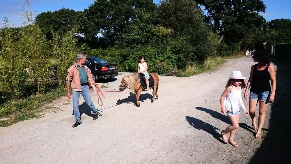 Camping Les Forges 3 Sterren★★★