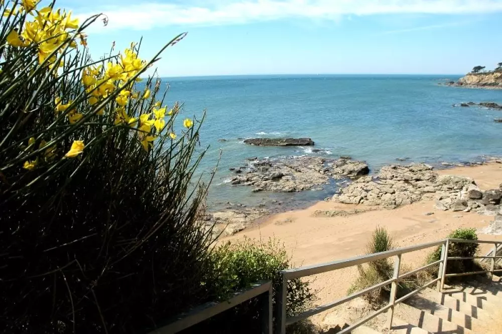 Camping Les Forges 3 Sterren★★★