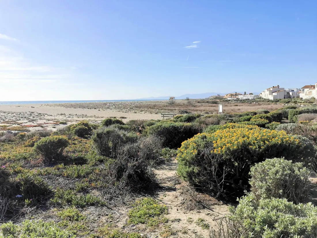 Residence Maisons De La Mer 1