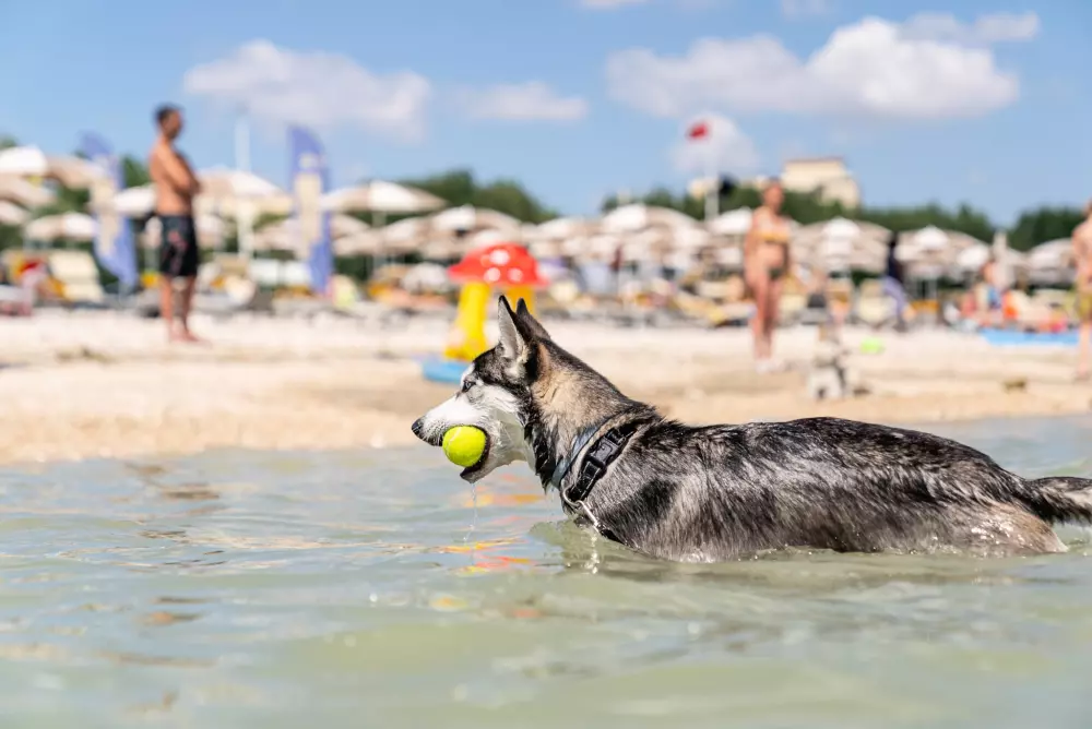 Club del Sole Le Mimose Family Resort 3 Sterne★★★