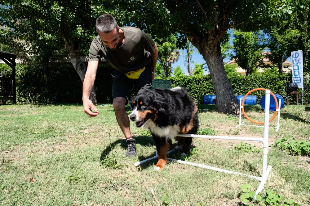 Club del Sole Le Mimose Family Resort 3 Sterne★★★