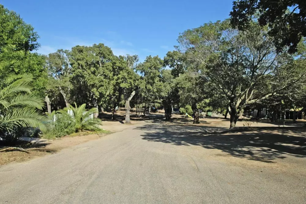 Camping Pezza Cardo3 Csillagok★★★