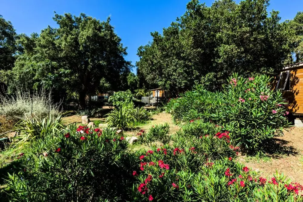 Résidence de Plein Air Campo Di Mare