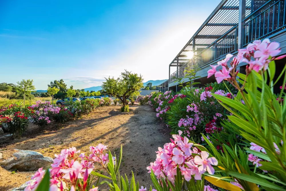 Pierre & Vacances Premium Residence Les Terrasses d'Arsella 5 Sterne★★★★★