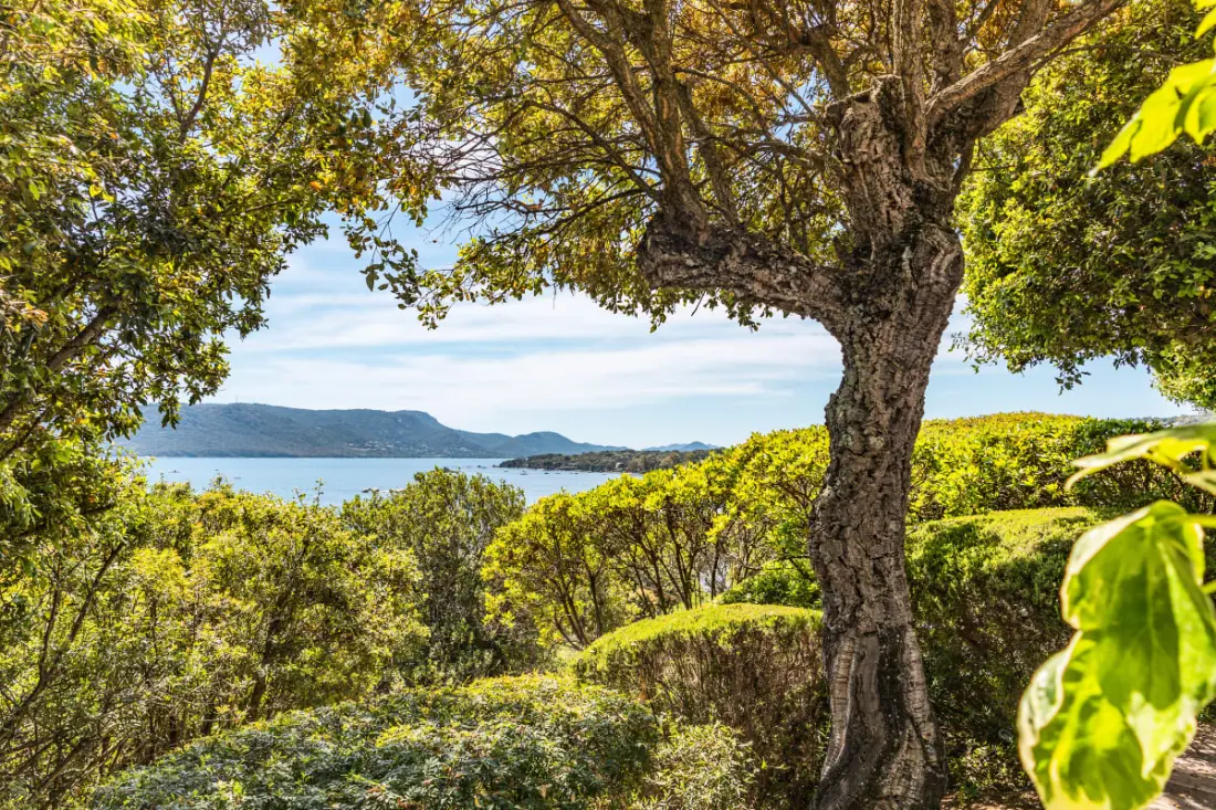 Residence Villa A Benista Di Porto-vecchio