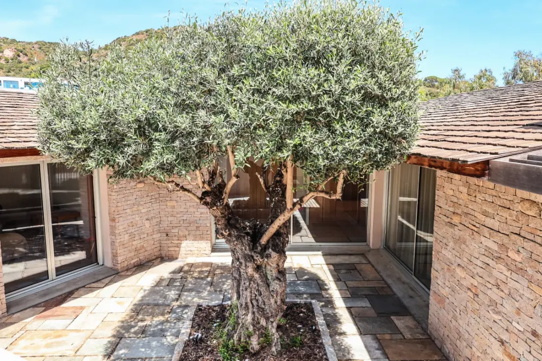 Rezidencia Villa Terra Di Palombaggia