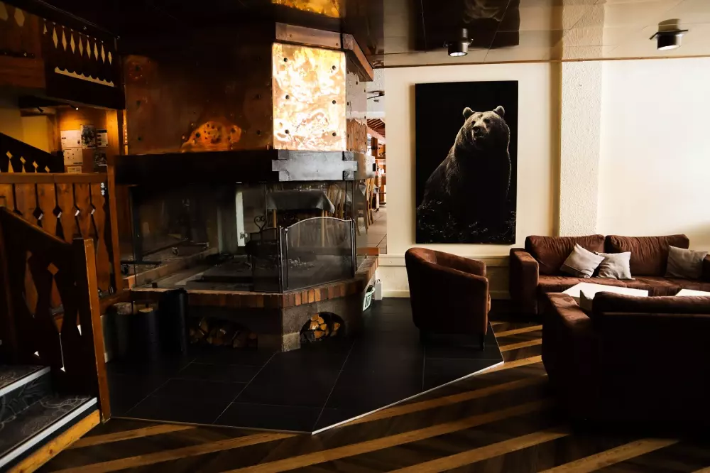 Village Club Le Télémark3 Sterren★★★ - Ternélia